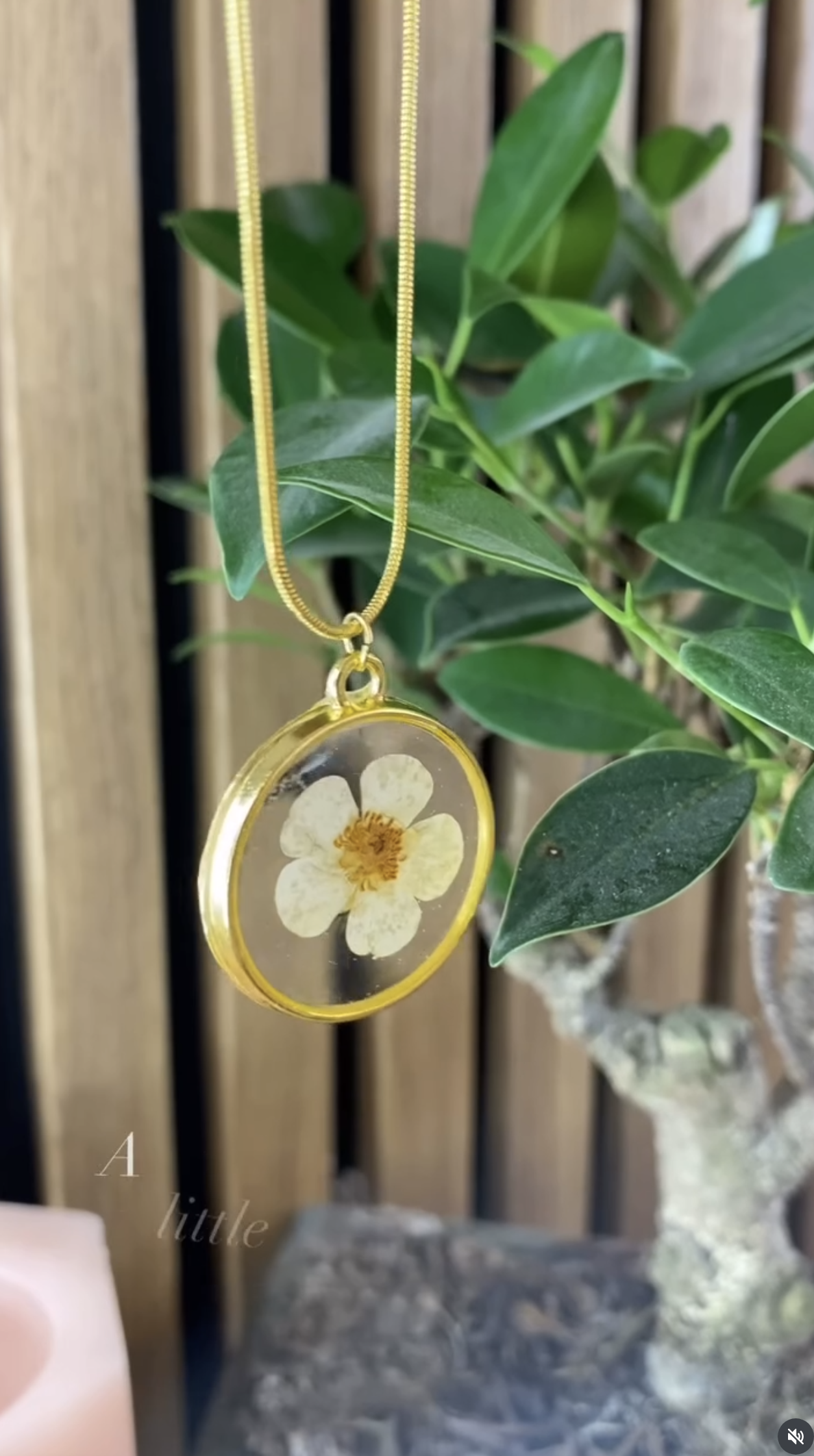 A gold circular pendant containing a single pressed white flower, hanging on a gold snake chain